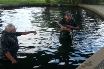 29 ao�t 2026 - Sortie Caviar � Neuvic Dordogne